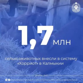 � �������� ������� ������� ������������ ���� ���������