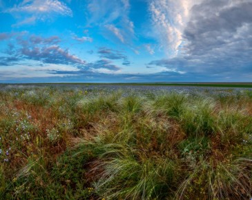 � ����� ������������ ��������� ������������� ������ ���������� ����������� ��������� ��������������� ��������� ���� ��������