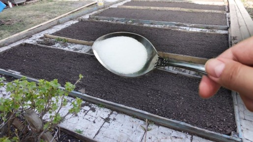 ������ ������: ��� 1 ����� �������� ������� ���� ����� �� ������ ����