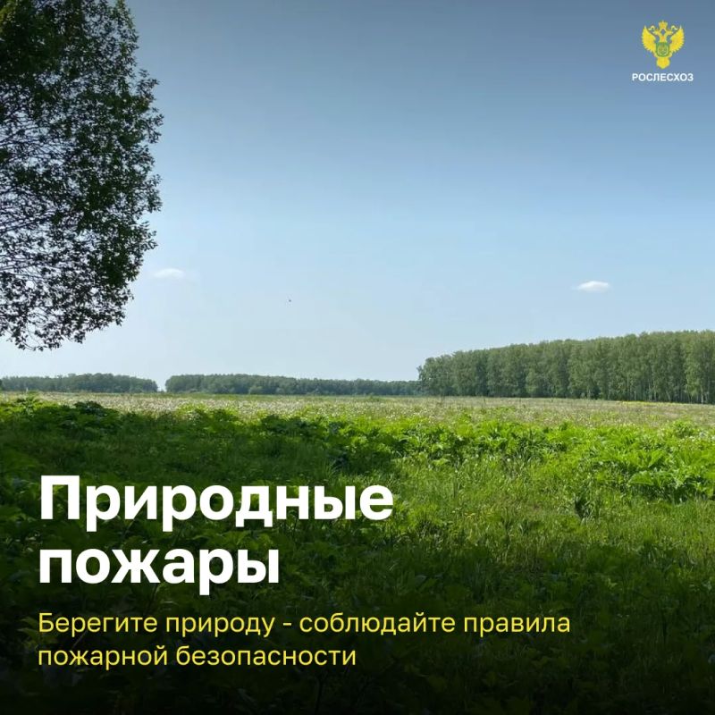 ��������� ������: ������, ������� ������ ������������