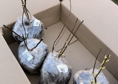 ������� �������� ����������� ���������: ��� �������� ������ � �����