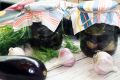 Зимний уют на вашем столе: как приготовить баклажаны с чесноком и зеленью