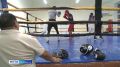 Сегодня стартует открытый городской турнир по боксу