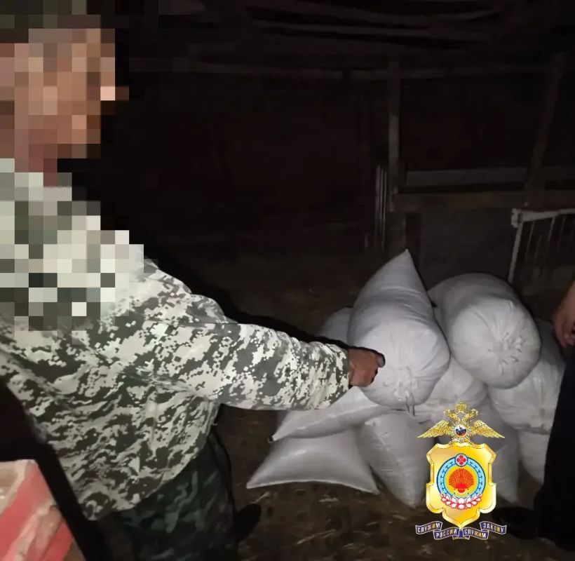 Сотрудниками полиции Яшалтинского района раскрыта кража 3-х тонн озимой пшеницы