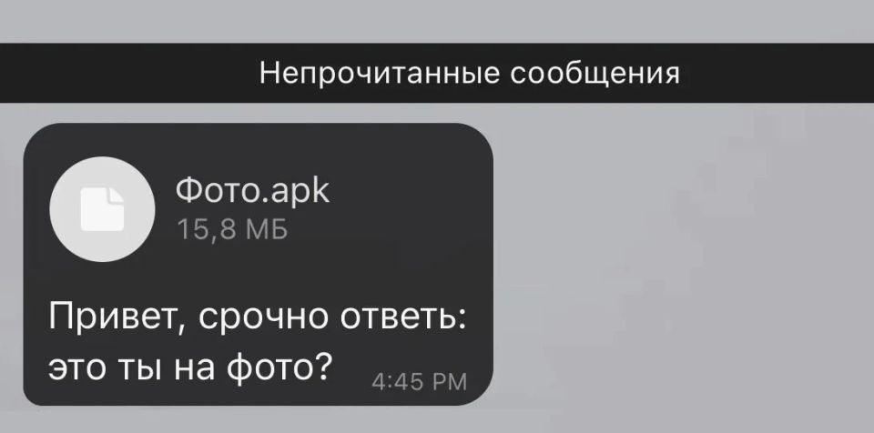 21-летний мошенник из Москвы был задержан сотрудниками полиции Калмыкии