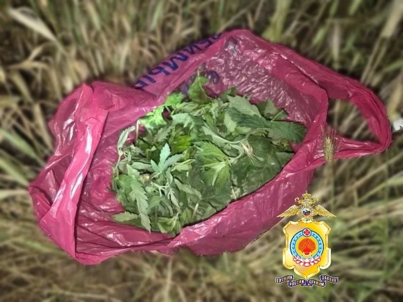 Житель Юстинского района будет привлечен к ответственности за незаконный оборот наркотических средств