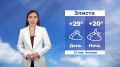 Доброе утро, Калмыкия!. Прогноз погоды на 21 мая #Калмыкия24