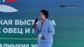 �� ������ ������� � ���� ����: ������ ������������ �������������� ���������� �������� � ������