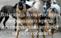 � ���������� ������ �� ���������� ����������� � ������ ������������������� ������� �������� ����������� ���������� ����� �� ���� ������