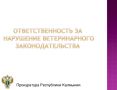 Прокуратура Октябрьского района выявила нарушения ветеринарного законодательства