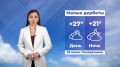 ������ ����, ��������!. ������� ������ �� 29 ���� #��������24