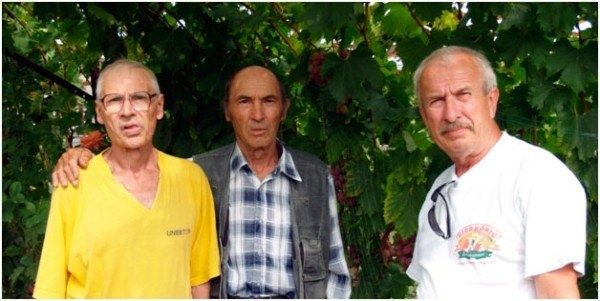 Виноград Богатяновский: уникальный сорт, проверенный временем