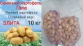 Почему стоит задуматься о покупке картофеля из магазина для посадки