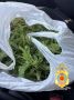 � ������������ ������ ������������� ������ ���������� ������� ������� ���������� � ������������� ��������