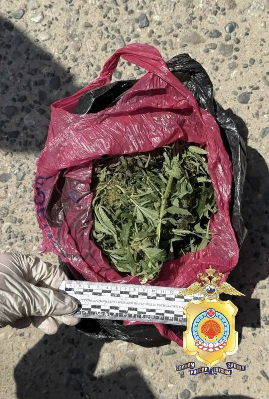 В Элисте задержан мужчина с наркотиками