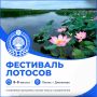 ��������� ������� � ���� �� ����� ����� ������� ������� �������������� ������ � ��������!