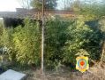 � ������ ��������� ������ ������ 3 �� �������, 26 ������ � ������