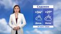 ������ ����, ��������!. ������� ������ �� 29 ���� #��������24