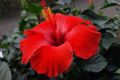 ��������: ������ ����� ��� ������ ������?