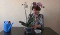 Умный полив орхидей дома: как выбрать воду и режим ухода