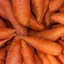 Как не потерять урожай: секреты успешного выращивания моркови