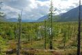 Лукунский лес: уникальное природное наследие на краю света
