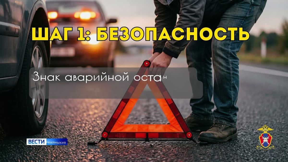 Европротокол: правила оформления ДТП без вызова полиции