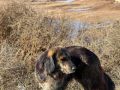 Доброе утро!. Сегодня 6 сентября, воскресенье