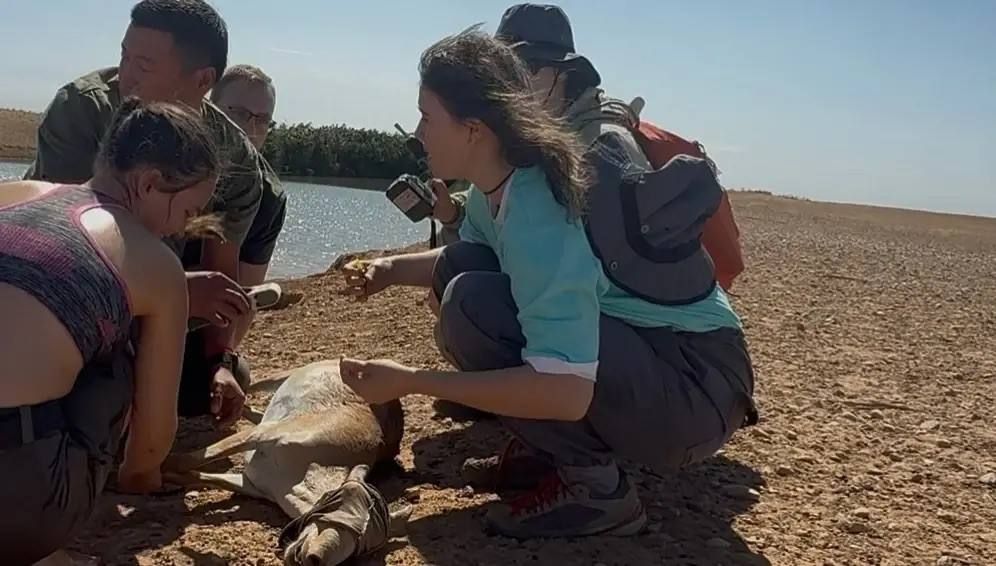 От сайгаков до экотроп: Школа Фонда Потанина в Калмыкии От сайгаков до экотроп: Школа Фонда Потанина в Калмыкии