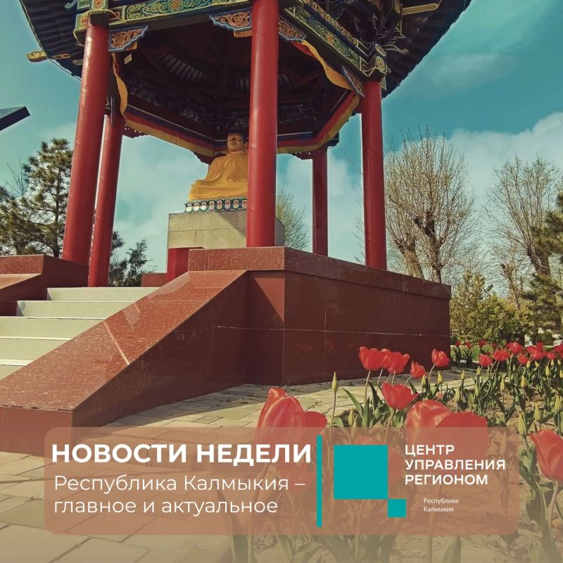 Калмыкия: события недели. Власть