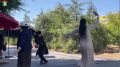 Элиста отпраздновала 161-й день рождения!