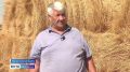 В Калмыкии в разгаре заготовка кормов для поголовья скота