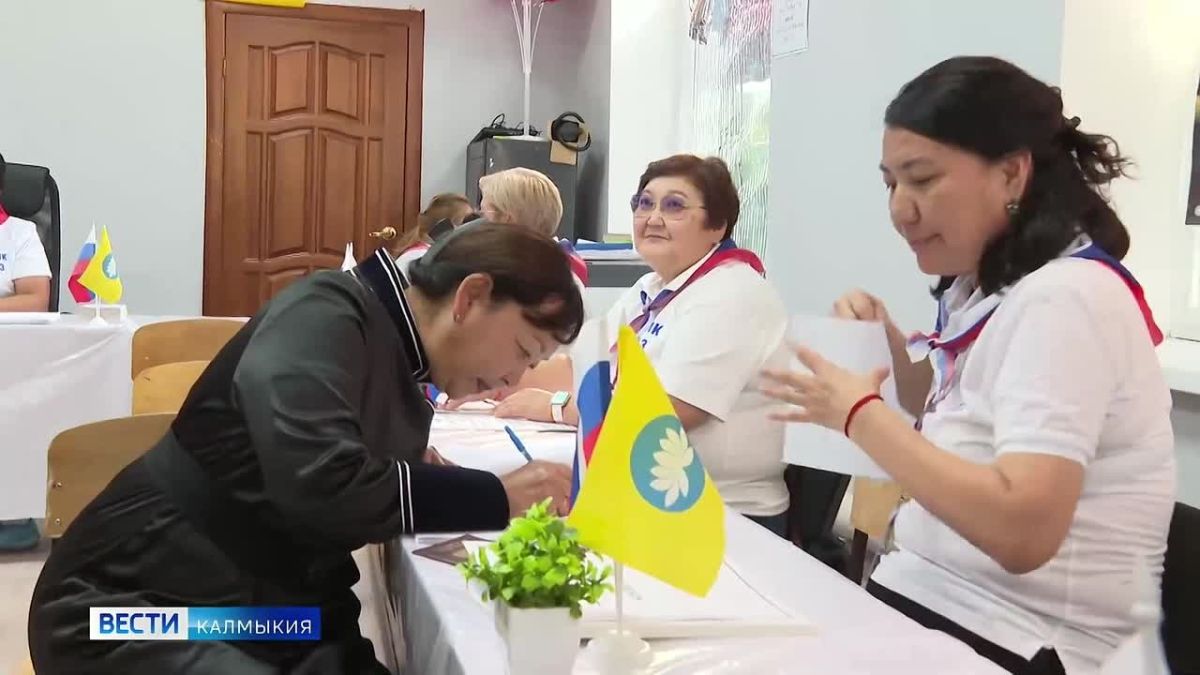 Семья из Элисты добралась до участка на верблюдах, в Калмыкии задержали нетрезвых водителей