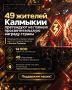 49 жителей Калмыкии претендуют на Знание.Премию