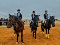 26 сентября в БУ ДО РК «РСШ по конному спорту и национальным видам спорта» прошло Первенство по конному спорту (конкур), приуроченное к празднованию Дня многодетной семьи