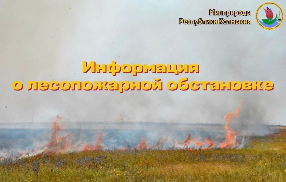 О лесопожарной обстановке на территории лесного фонда Республики Калмыкия по состоянию на 30 сентября 2026 года