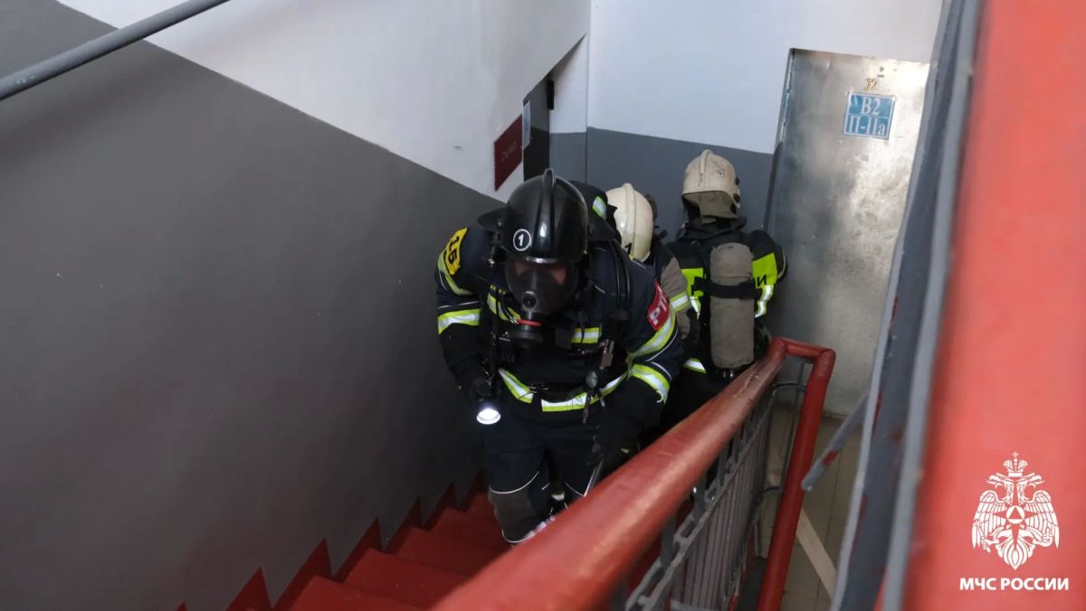 Слаженность действий — залог безопасности Слаженность действий — залог безопасности