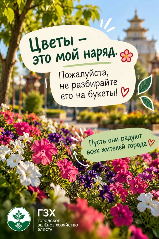 Если бы Элиста могла говорить… Если бы Элиста могла говорить…