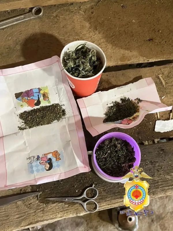 В отношении жителя Яшкульского района возбуждены уголовные дела по факту незаконного оборота наркотических средств в крупном размере В отношении жителя Яшкульского района возбуждены уголовные дела по факту незаконного оборота наркотических средств в крупном размере