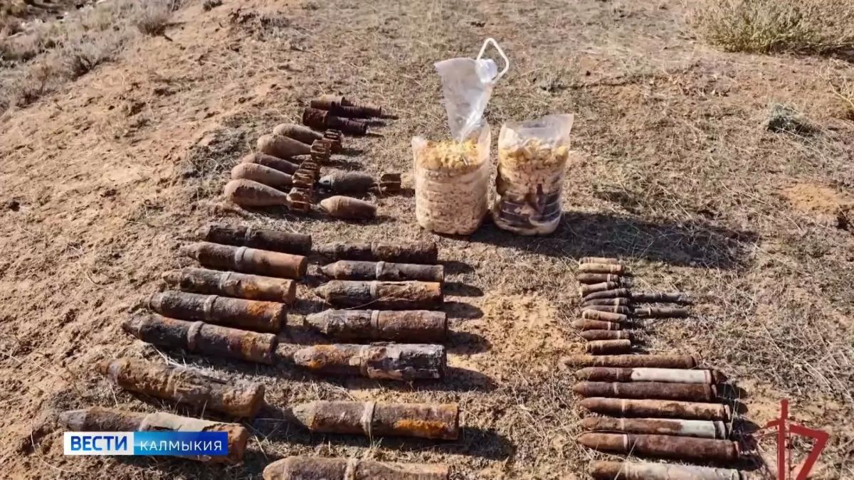 В Яшкульском районе уничтожили более 40 боеприпасов времен Великой Отечественной войны