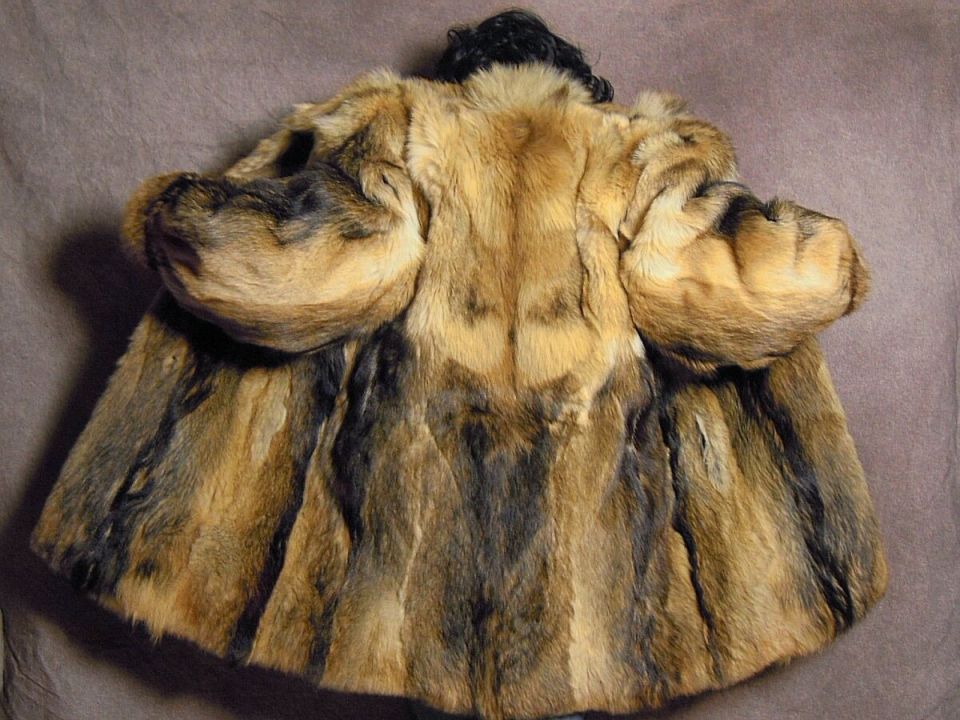 ��� �������� ����� ����� � ������ ����: �������� ���� � ��������� �������