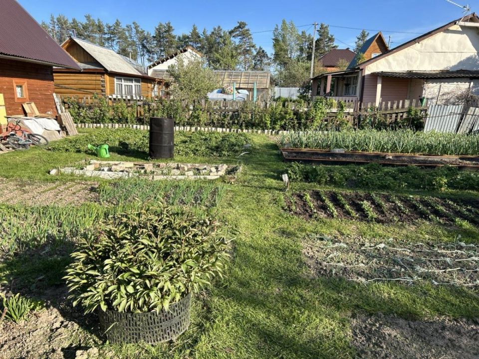 Необычайный подход к садоводству: как пластиковые горшки помогут вашему саду