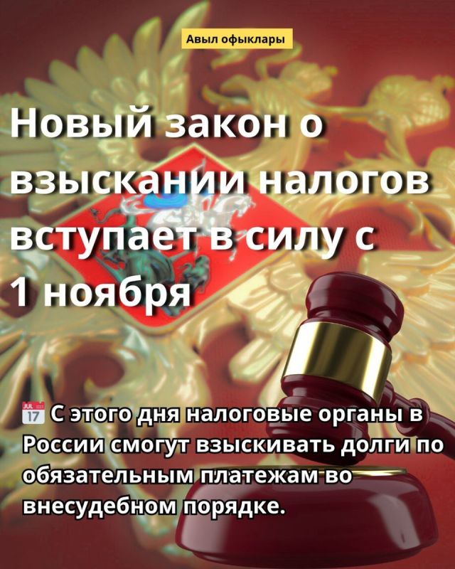 Новый закон о налоговых взысканиях: что стоит знать