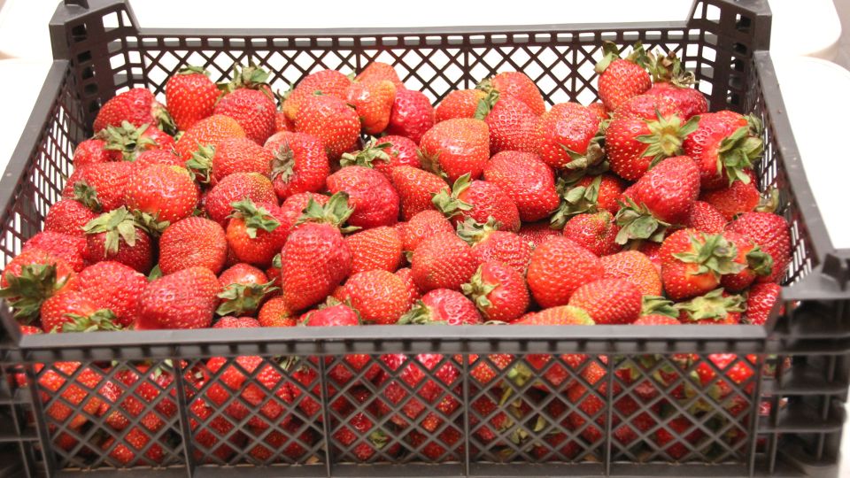 Могут ли люди с сахарным диабетом позволить себе клубнику? Отвечает нутрициолог