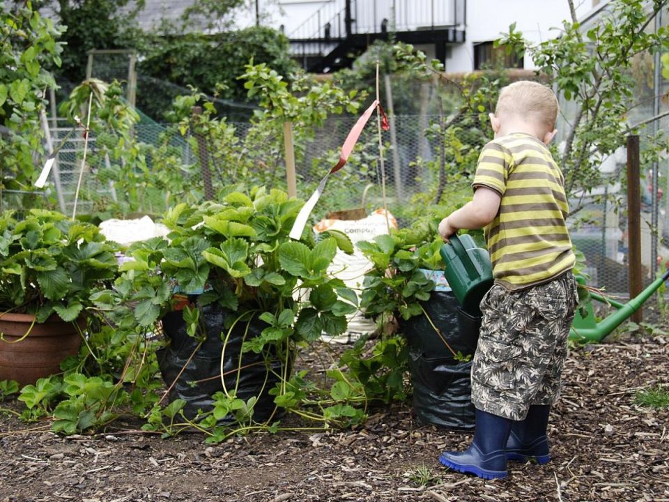 Как не стать жертвой незваных гостей: советы по борьбе со змеями в огороде