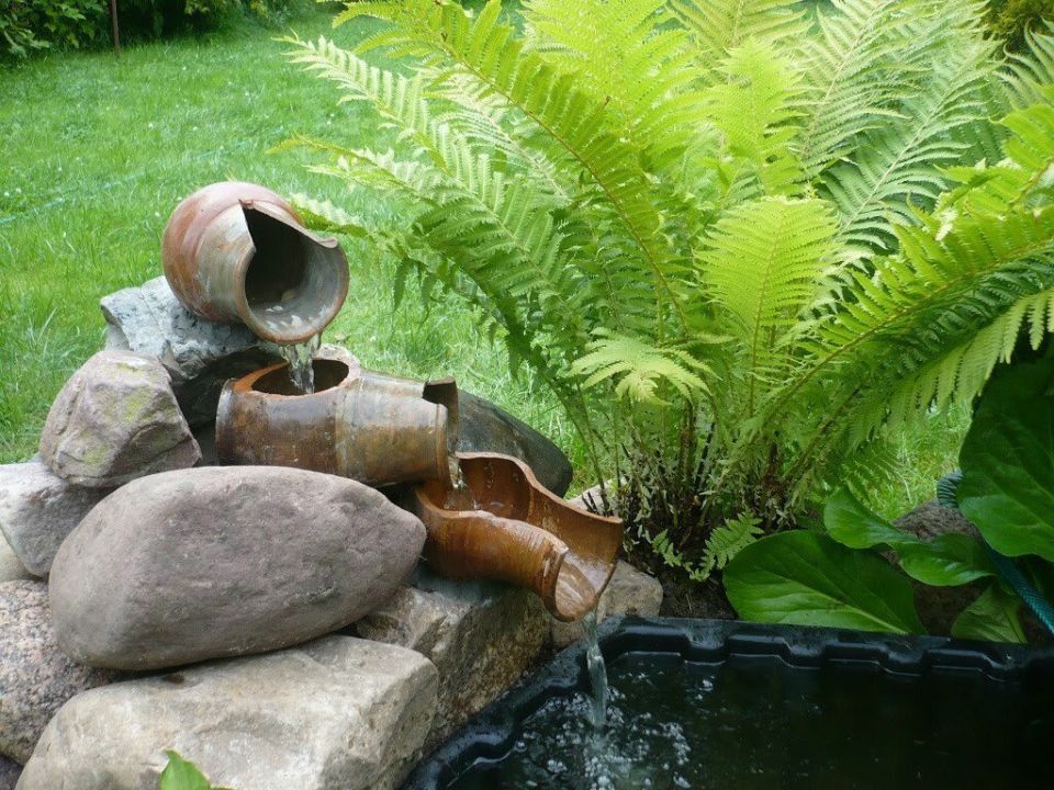 Многолетники для вашего красивого сада