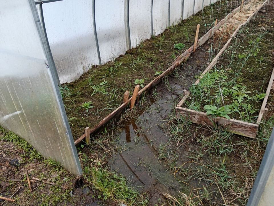 Весенние заботы в теплице: основные работы марта