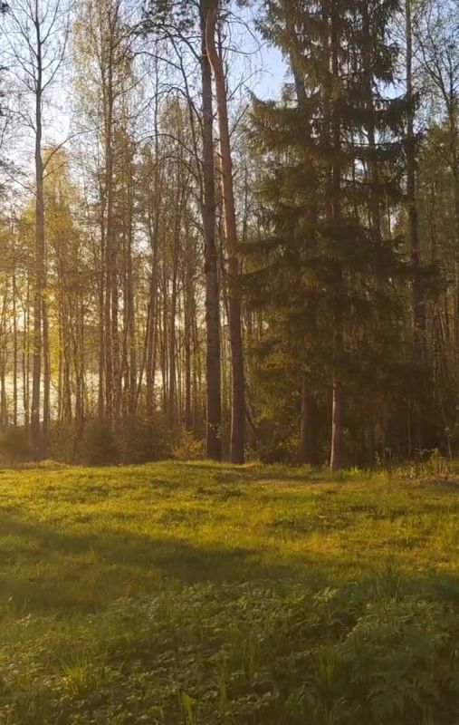 Снижение популярности каналов на платформе