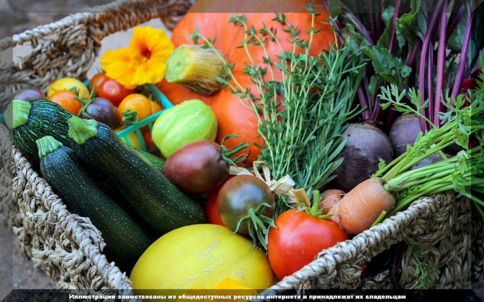 Август в вашем саду: секреты ухода за урожаем и осенние начинания