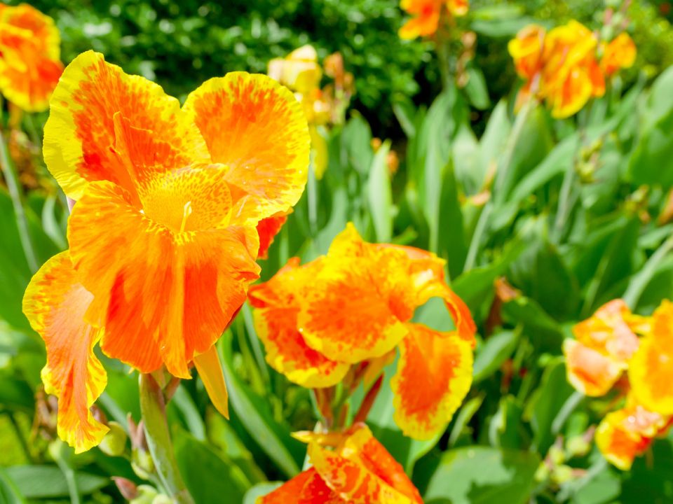 ��� ������� ��������� ������� ��� ����������� ���� � ����� ����